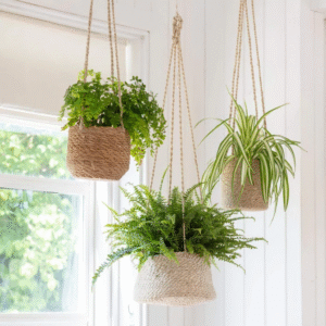 Hanging Garden
