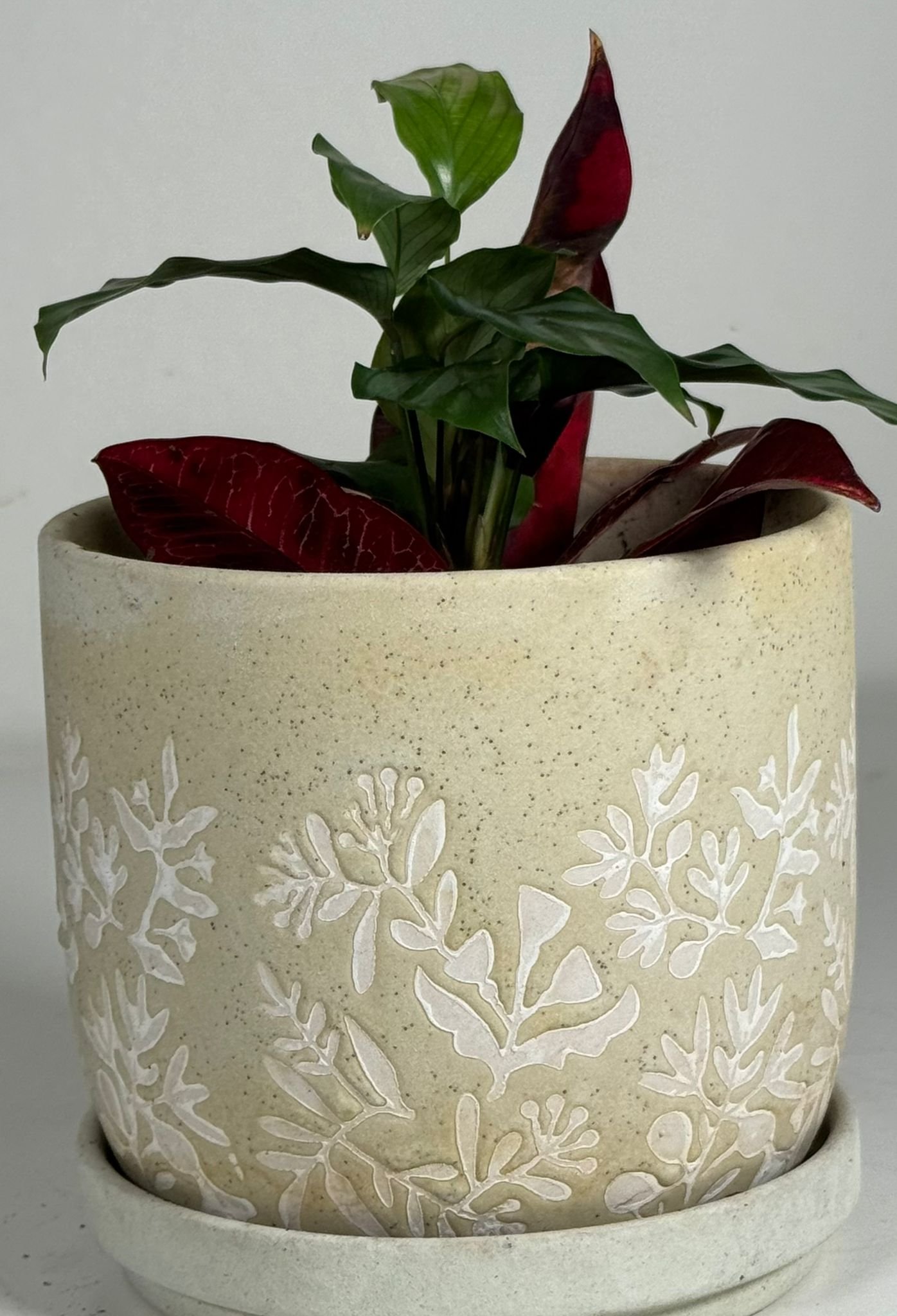 Patterned Grace: Prayer Plant, Pothos & Croton in Embossed Ceramic Pot - Image 3