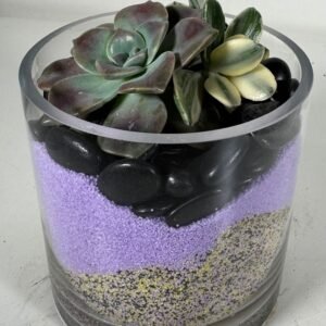 Purple Delight: Variegated Jade & Succulent Duo in Layered Glass Terrarium