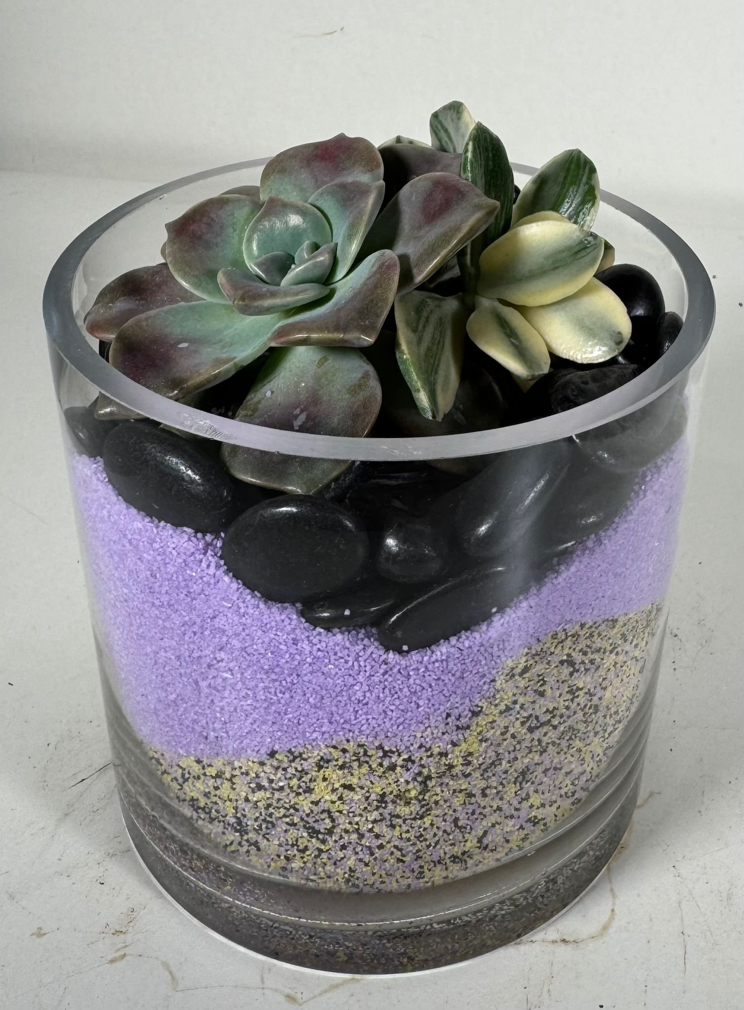 Purple Delight: Variegated Jade & Succulent Duo in Layered Glass Terrarium
