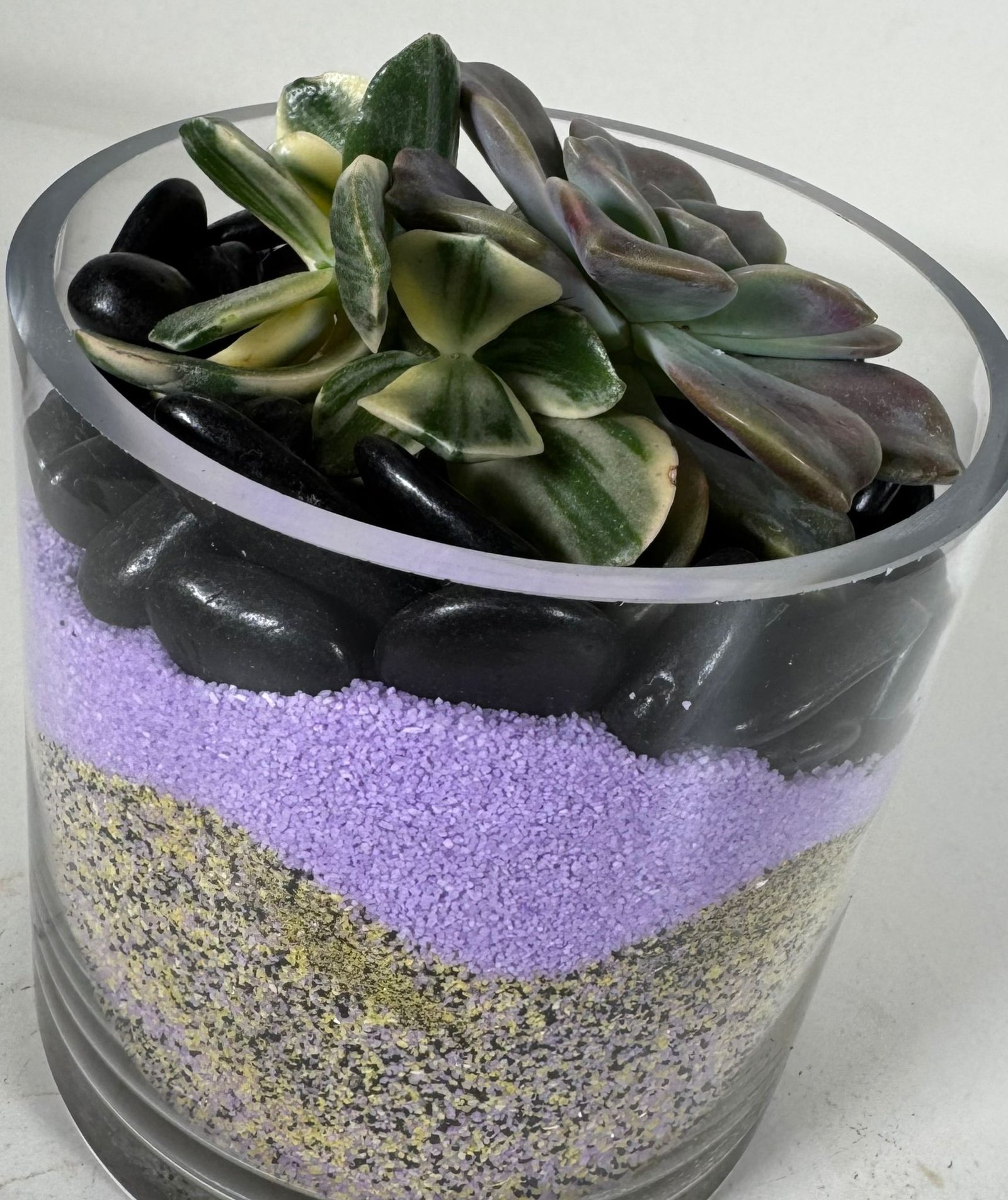 Purple Delight: Variegated Jade & Succulent Duo in Layered Glass Terrarium - Image 3