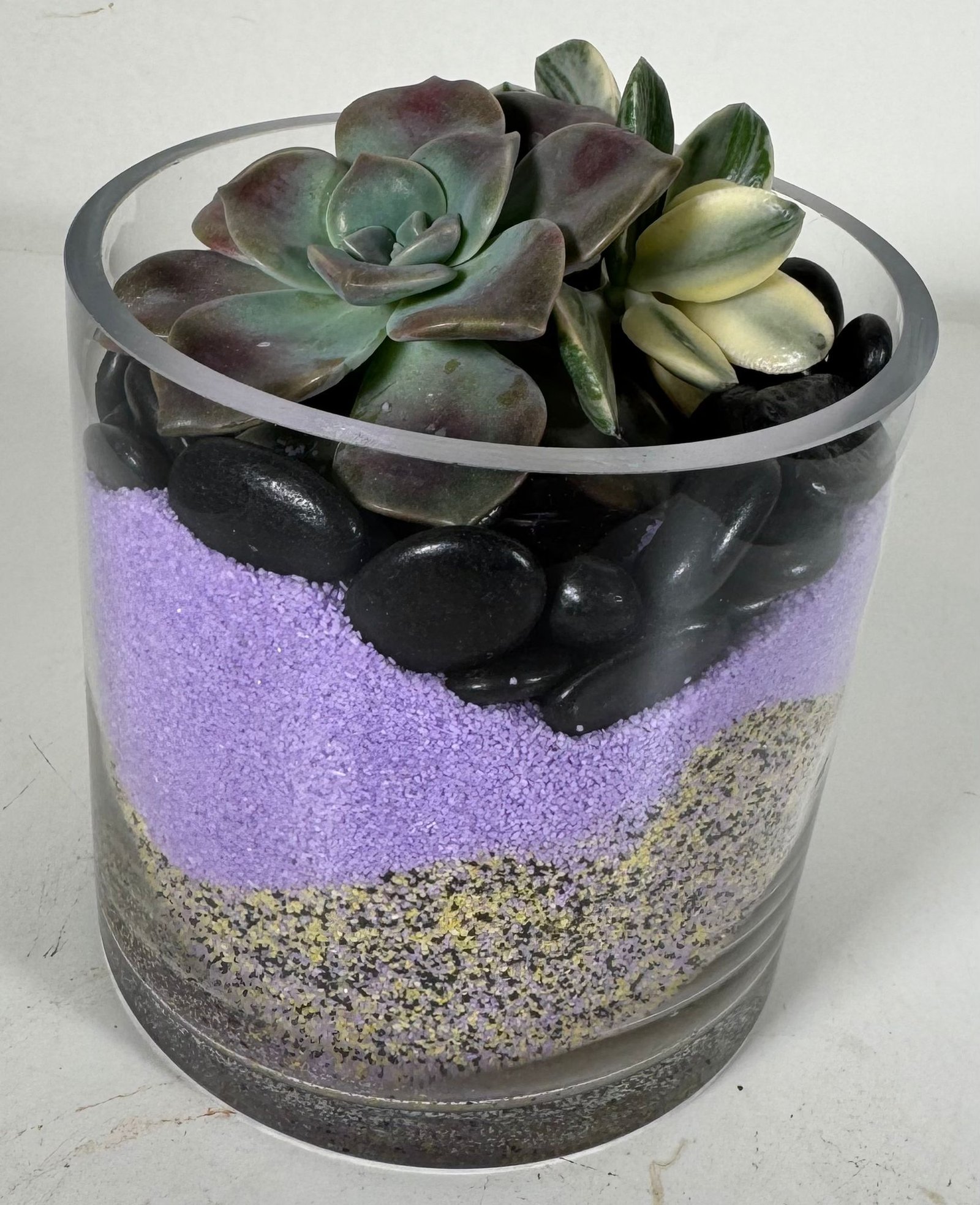 Purple Delight: Variegated Jade & Succulent Duo in Layered Glass Terrarium - Image 5