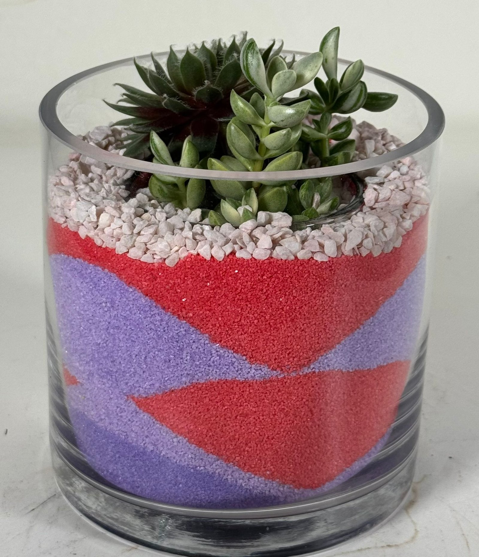 Color Layered Calm: Sempervivum & Crassula in Red-Purple Sand Terrarium