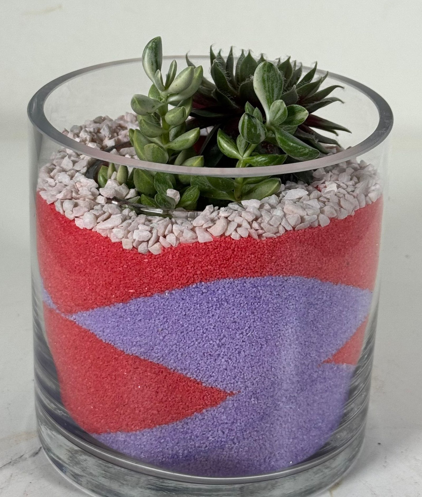 Color Layered Calm: Sempervivum & Crassula in Red-Purple Sand Terrarium - Image 3