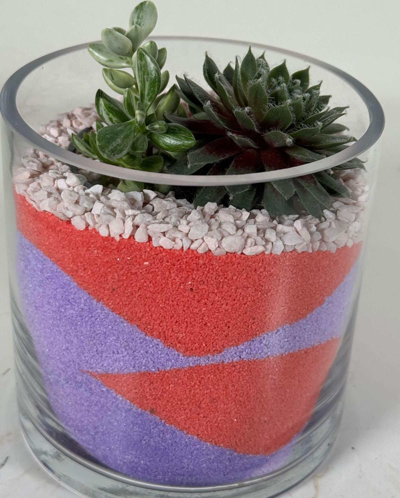 Color Layered Calm: Sempervivum & Crassula in Red-Purple Sand Terrarium - Image 5