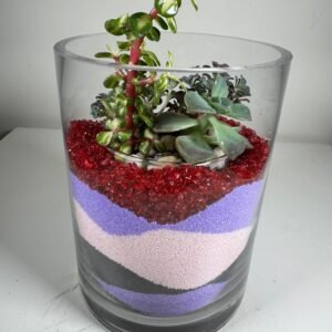Crimson Layers: Mixed Succulent Garden in Sand-Art Glass Bowl