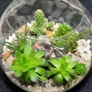 Terrarium