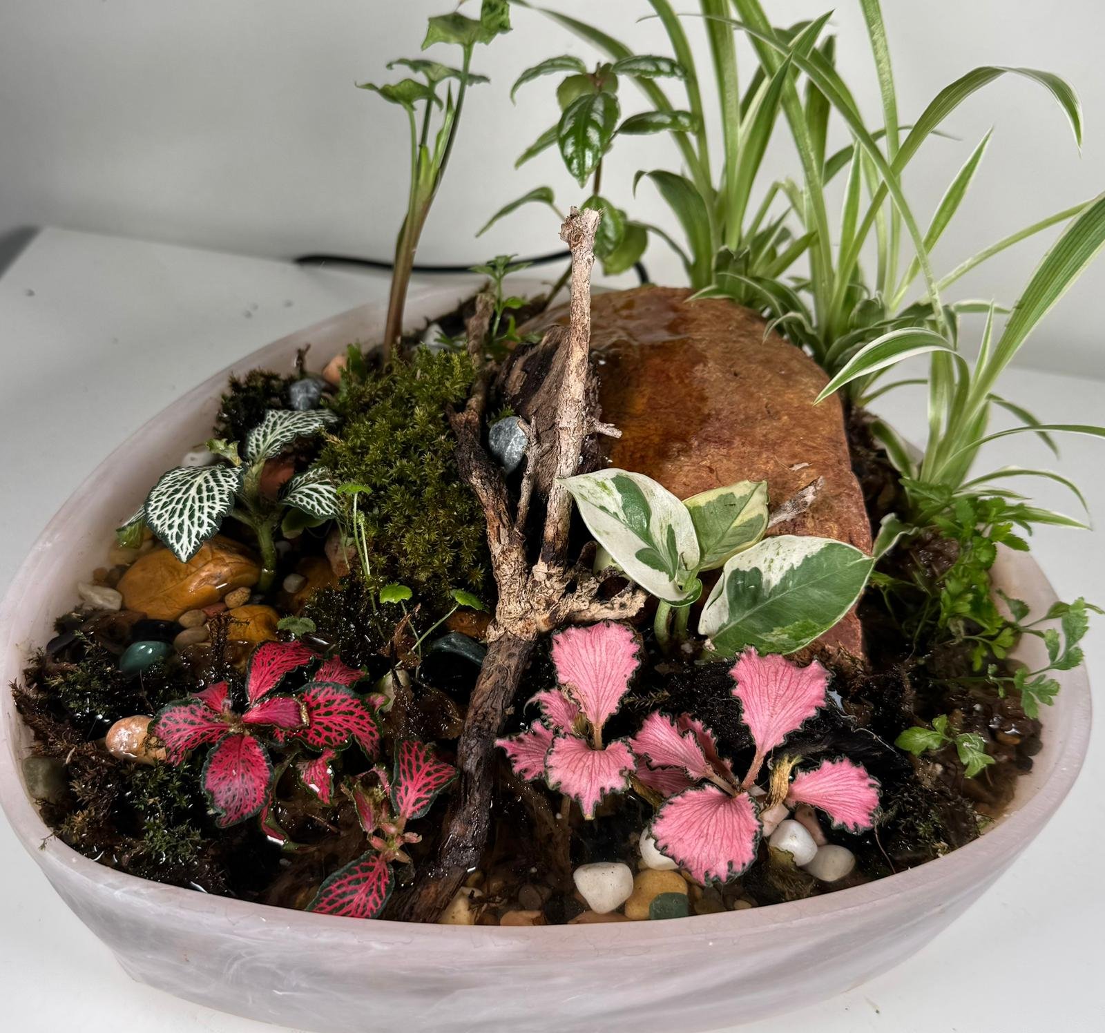 Waterfall Terrarium: Flowing Forest in Marbled Oval Planter - Image 4