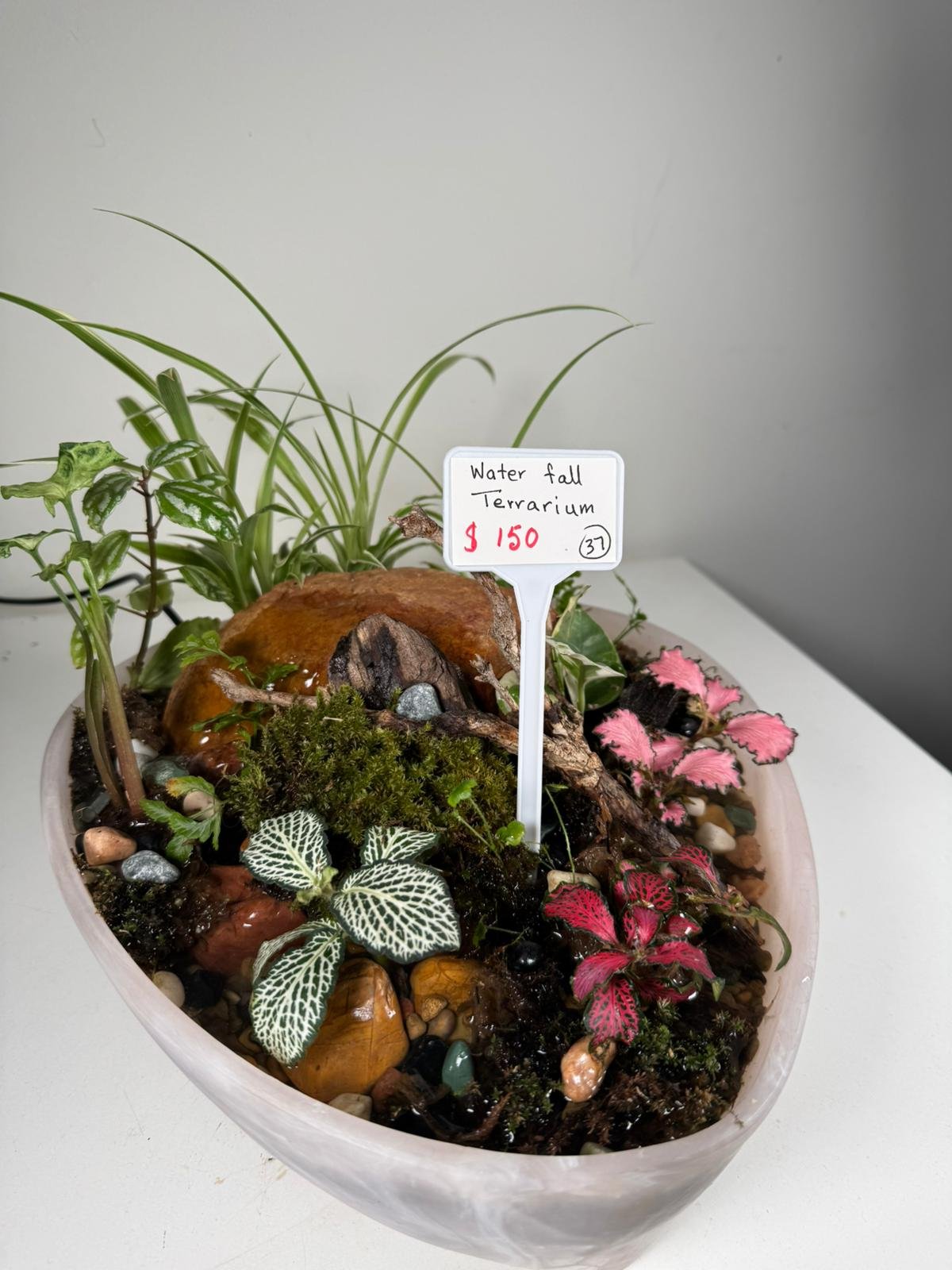 Waterfall Terrarium: Flowing Forest in Marbled Oval Planter - Image 5