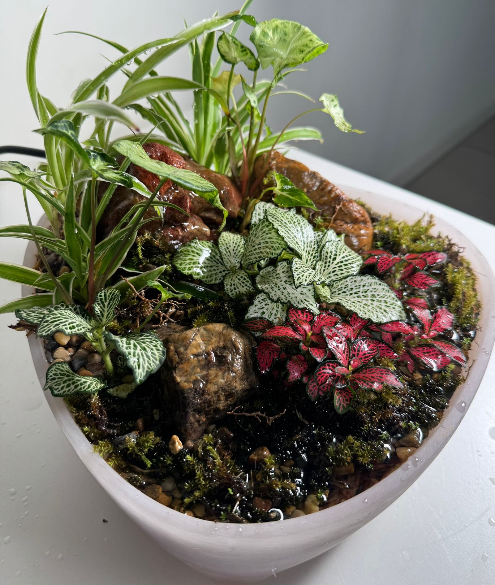 Whispering Canopy: Waterfall Terrarium in Blush Ceramic Bowl - Image 6